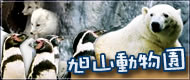 北海道旭山動物園ツアー