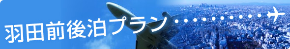 �H�c�O�㔑�v����