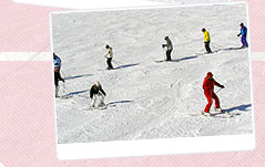 スキー&スノーボードスクール