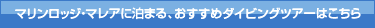 �}�������b�W�E�}���A�ɔ��܂�A�������߃_�C�r���O�c�A�[�͂�����