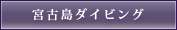 �{�Ó��_�C�r���O