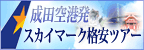 成田発スカイマーク沖縄