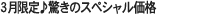 �R�����������̃X�y�V�������i