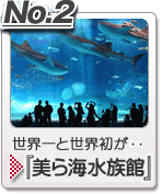 『美ら海水族館』