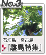 『石垣島・宮古島』