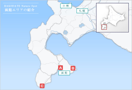 函館エリアの紹介地図