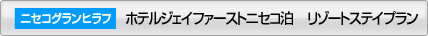 �z�e���W�F�C�t�@�[�X�g�j�Z�R���@���]�[�g�X�e�C�v����