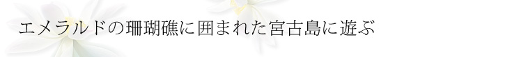 コピー