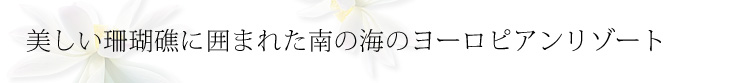コピー
