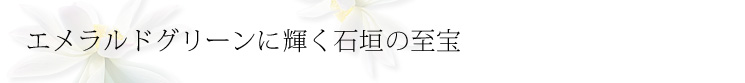 �R�s�[