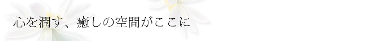 �R�s�[