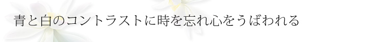 コピー
