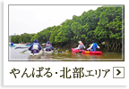 やんばる・北部エリアのホテルへ