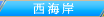 プレミアム沖縄 西海岸エリア