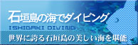 石垣島の海でダイビング